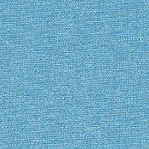 Buckram Pale Blue.jpg